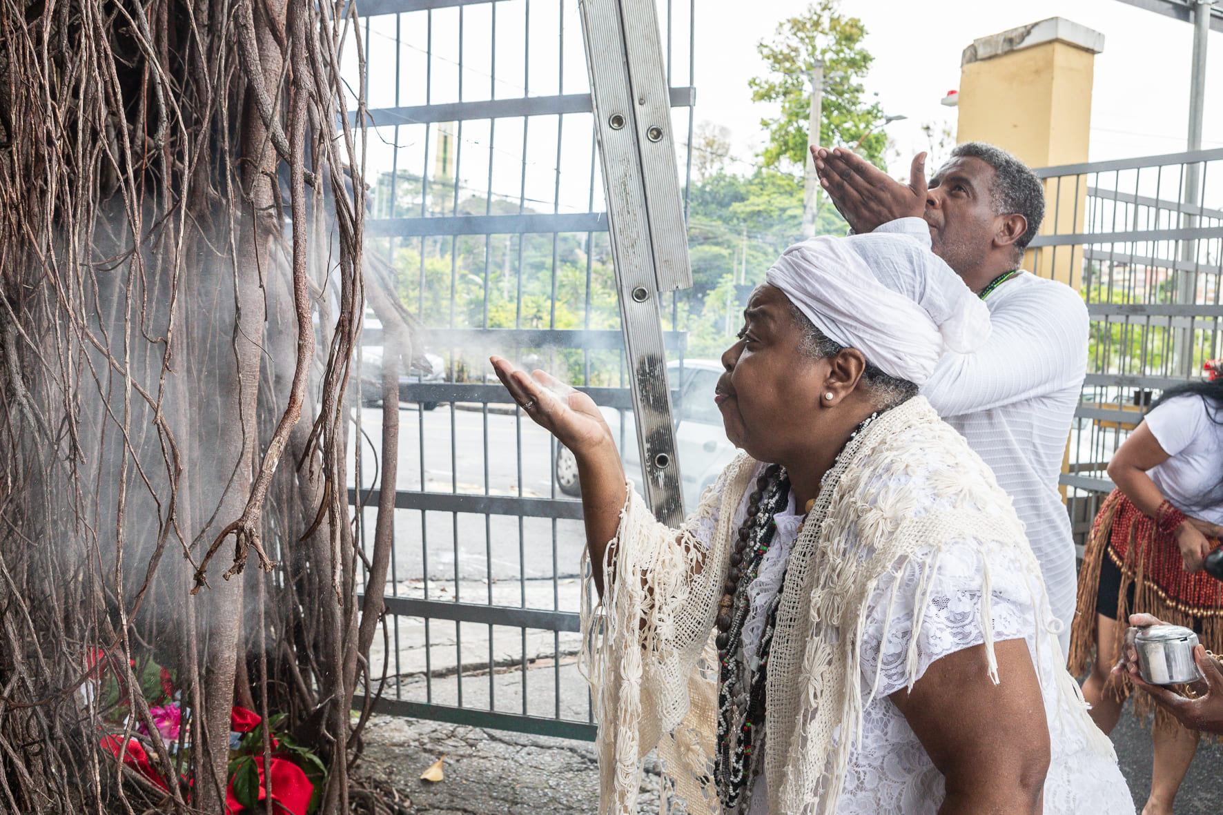 Laços da Ancestralidade