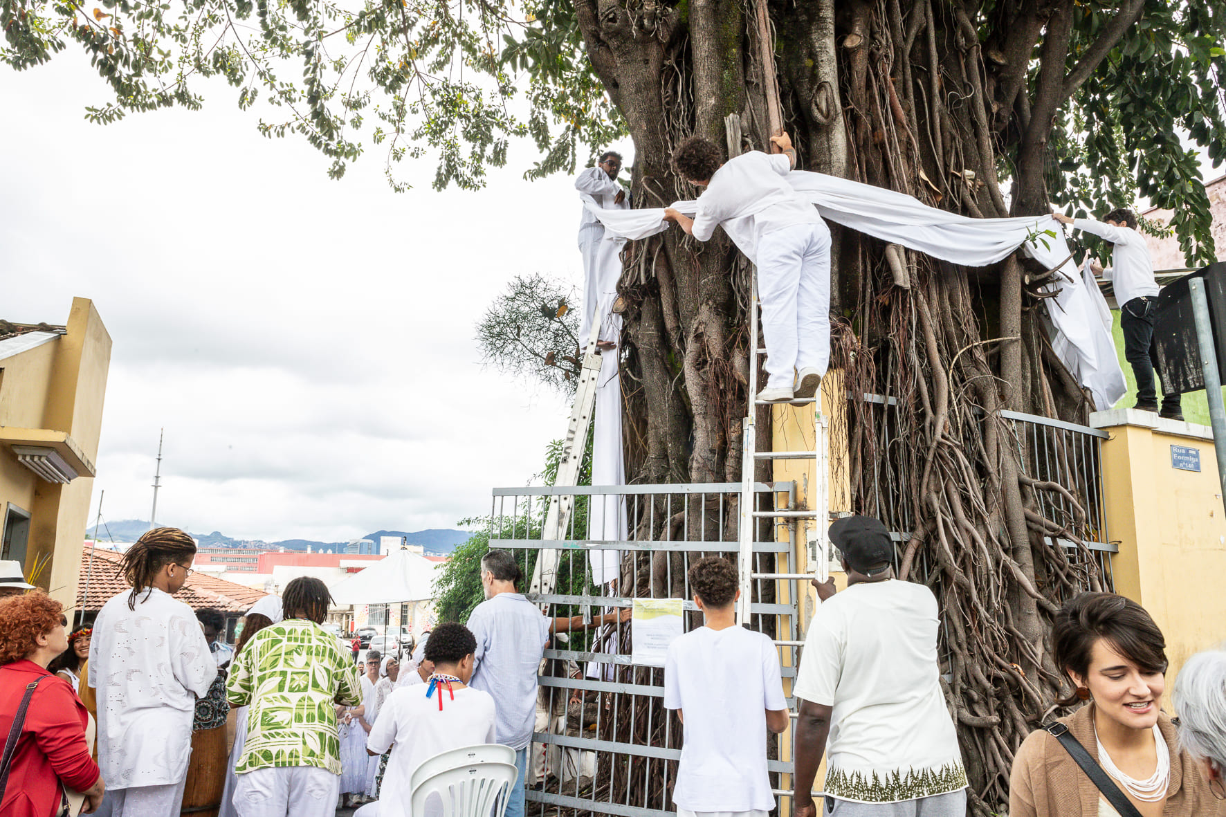 Laços da Ancestralidade